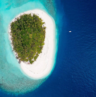 Beauty Of Solomon Island And Love