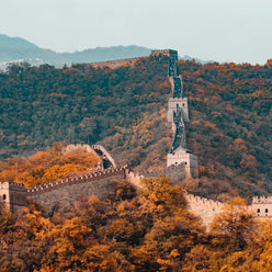 Forest Adventure China