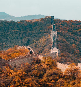 Forest Adventure China